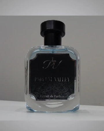 Vivien – Chypre Fruity Woody Spicy Perfume for Men
